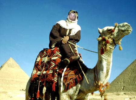 moi de EGIPS